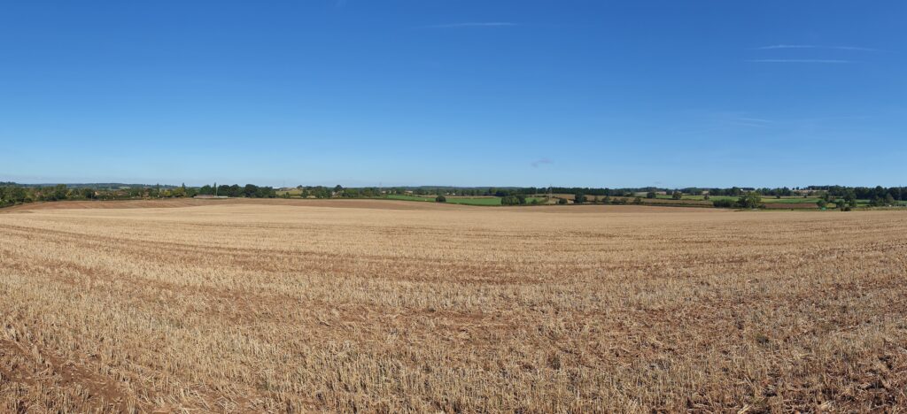 Representative site photo-1